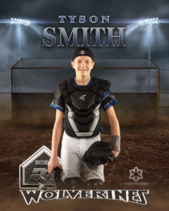 Youth baseball 2 foot x 3 foot poster